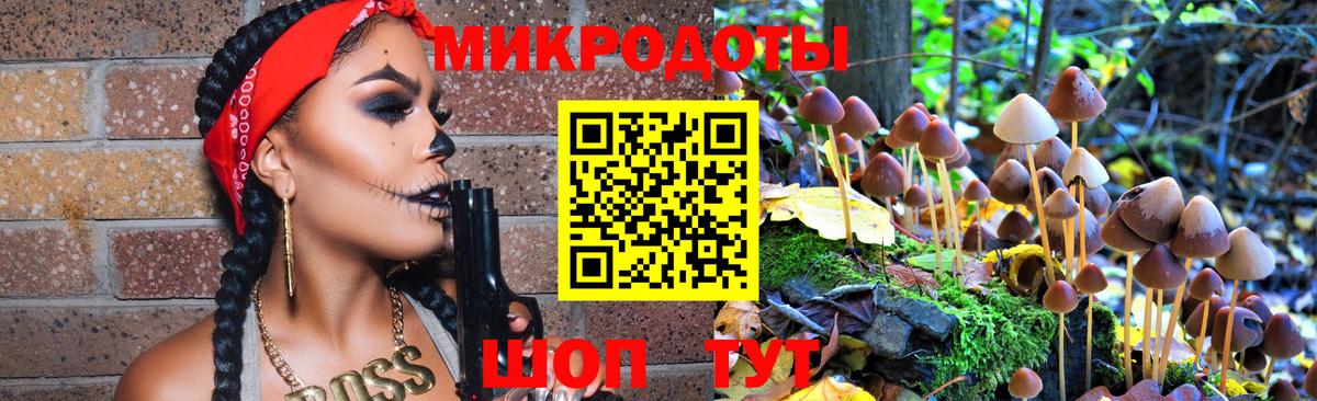 Видное  Псилоцибиновые грибы прущие грибы  Вход с VPN 